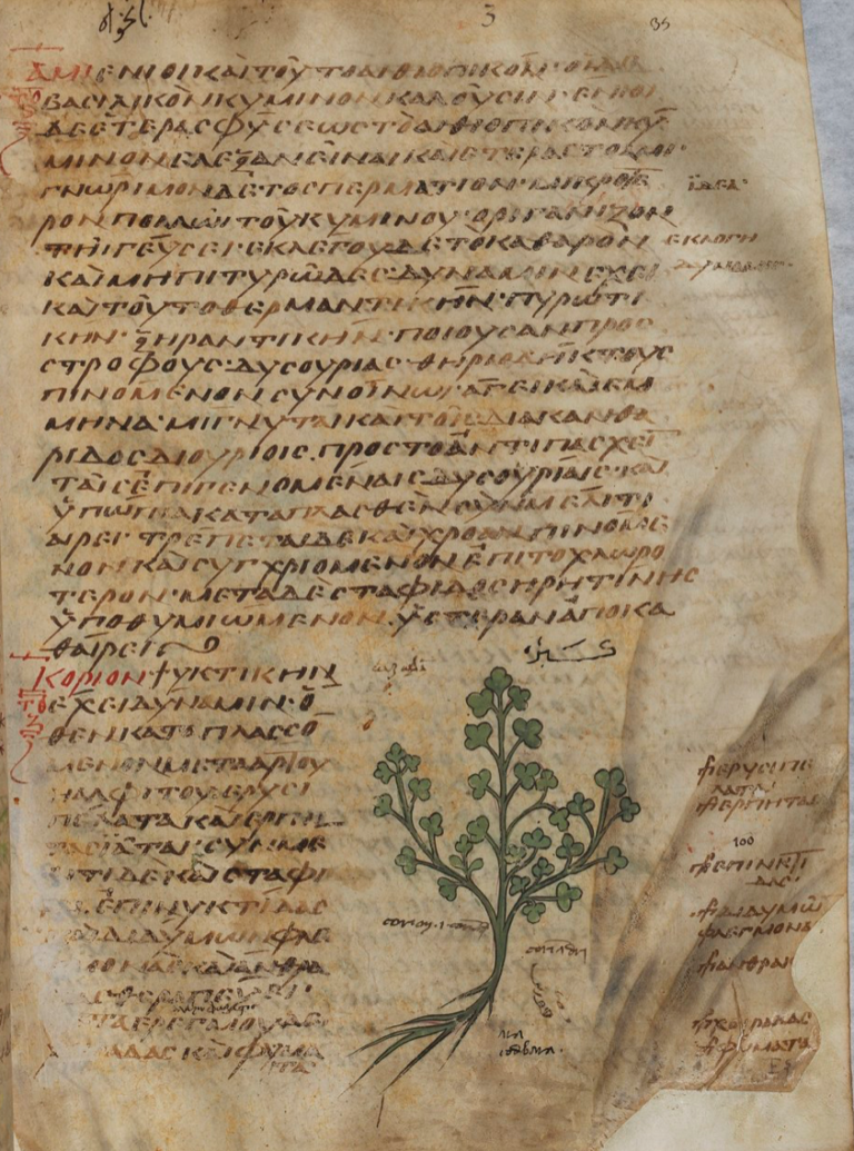 Eat Like A Sultan Bringing Medieval Arab Cooking to Life